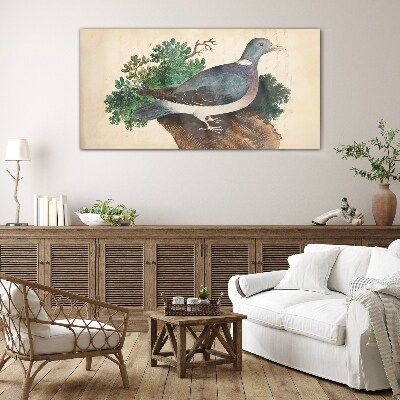 Tableau verre imprimé Un pigeon sur fond vert