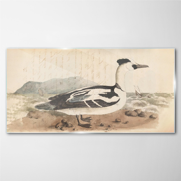 Tableau photo sur verre Un canard sur un paysage marin