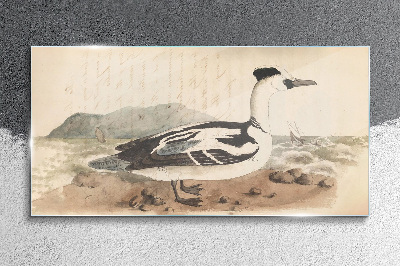 Tableau photo sur verre Un canard sur un paysage marin
