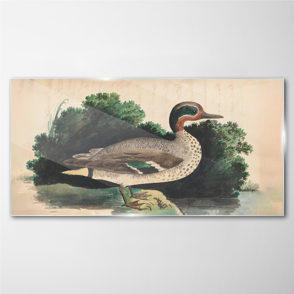 Tableau en verre Un canard entouré de verdure
