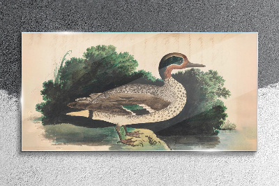 Tableau en verre Un canard entouré de verdure