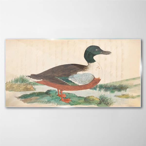 Tableau sur verre Un canard sur fond vert