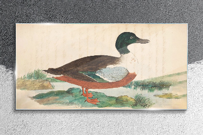 Tableau sur verre Un canard sur fond vert
