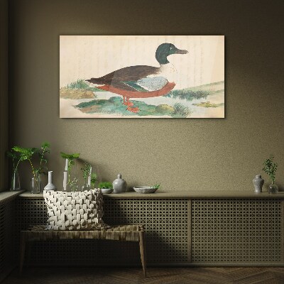 Tableau sur verre Un canard sur fond vert