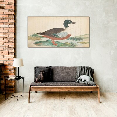 Tableau sur verre Un canard sur fond vert