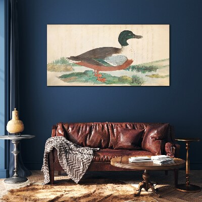 Tableau sur verre Un canard sur fond vert