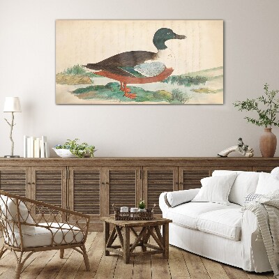 Tableau sur verre Un canard sur fond vert