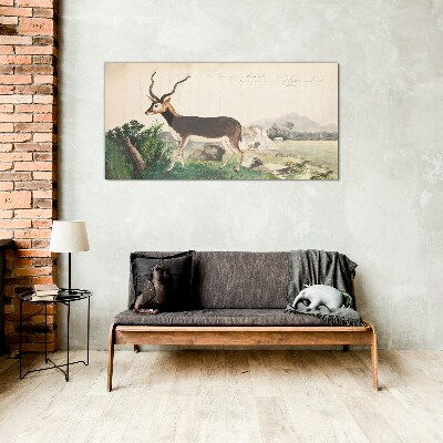 Tableau photo sur verre Antilope dans le paysage