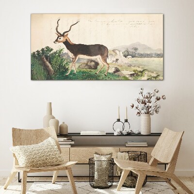 Tableau photo sur verre Antilope dans le paysage