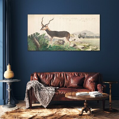 Tableau photo sur verre Antilope dans le paysage