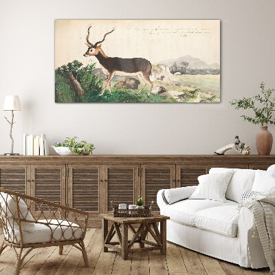 Tableau photo sur verre Antilope dans le paysage