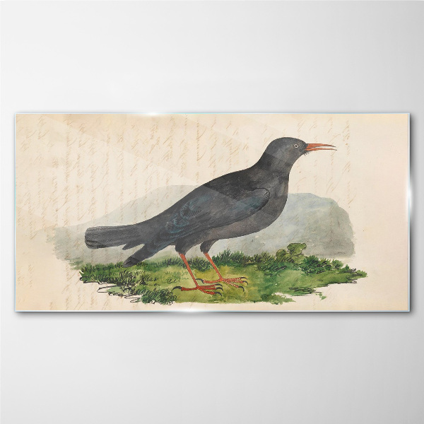 Tableau imprimé sur verre Un oiseau sur fond vert