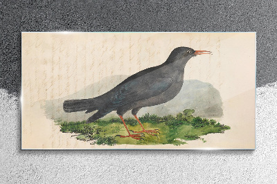 Tableau imprimé sur verre Un oiseau sur fond vert