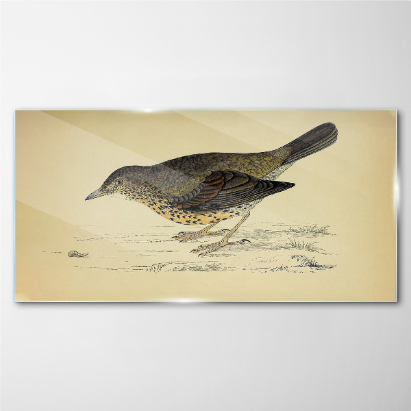 Tableau verre imprimé Un oiseau sur fond beige