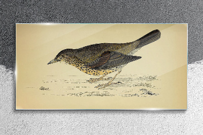 Tableau verre imprimé Un oiseau sur fond beige