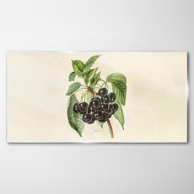 Tableau photo sur verre Fruit noir sur une branche