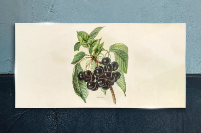 Tableau photo sur verre Fruit noir sur une branche