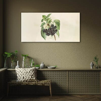 Tableau photo sur verre Fruit noir sur une branche