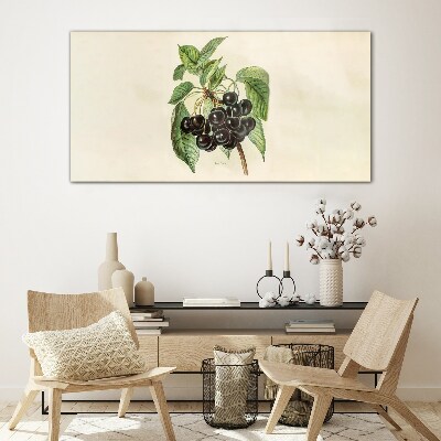 Tableau photo sur verre Fruit noir sur une branche