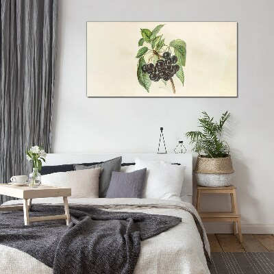 Tableau photo sur verre Fruit noir sur une branche