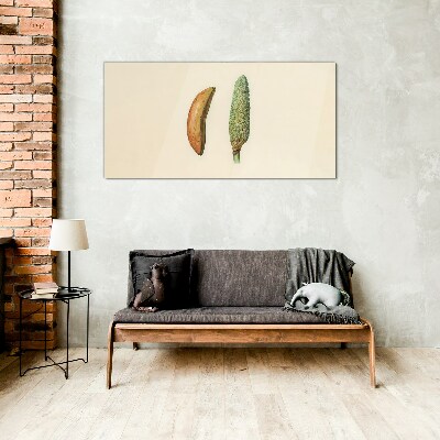 Tableau imprimé sur verre Transformation de la nature
