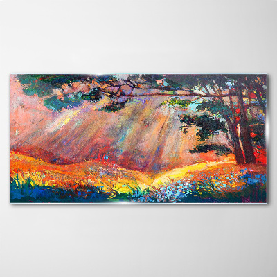 Tableau imprimé sur verre Rayons dorés dans le paysage d'été