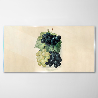 Tableau imprimé sur verre Duo fruité de raisins