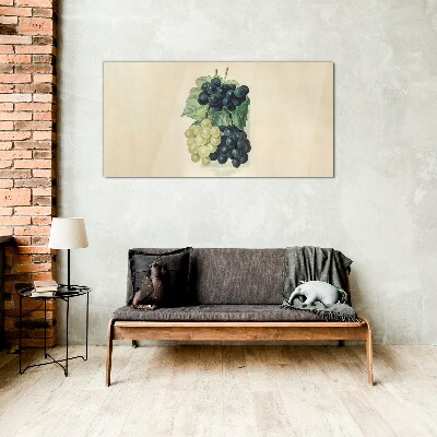 Tableau imprimé sur verre Duo fruité de raisins