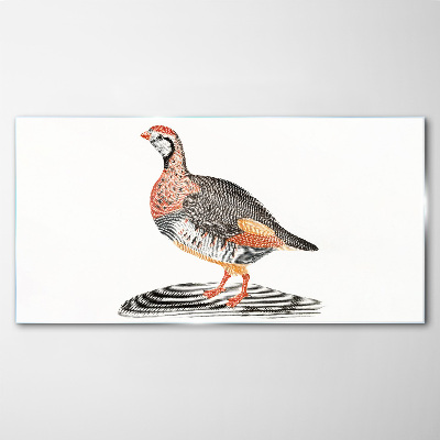 Tableau imprimé sur verre L'élégance aviaire aux couleurs pastel
