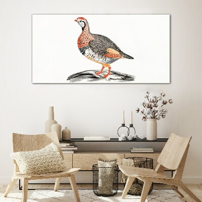 Tableau imprimé sur verre L'élégance aviaire aux couleurs pastel