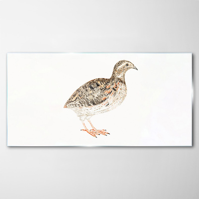 Tableau verre imprimé Oiseau sur fond blanc