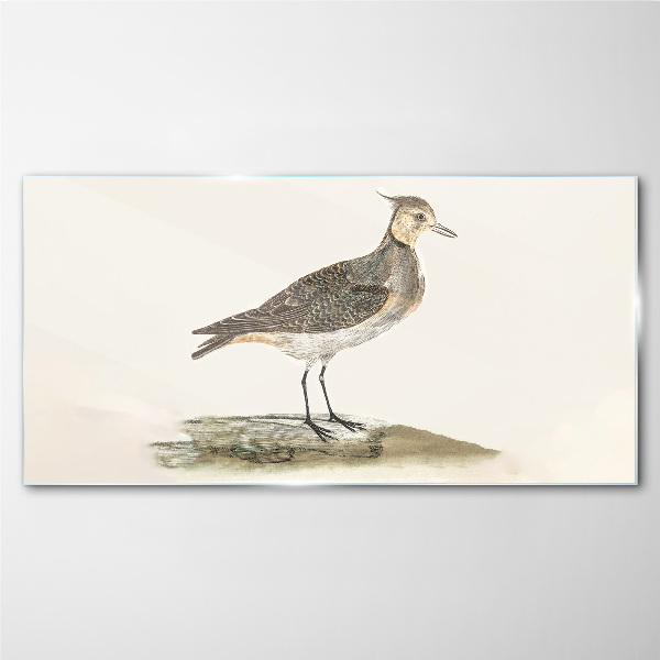 Tableau en verre Un oiseau élégant sur fond naturel