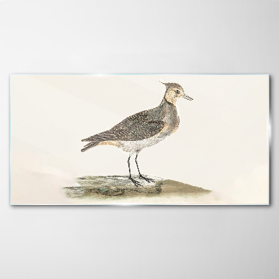 Tableau en verre Un oiseau élégant sur fond naturel