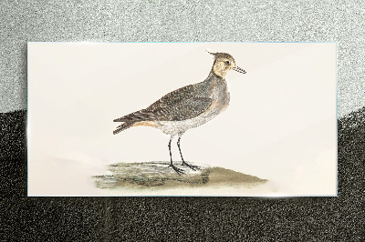 Tableau en verre Un oiseau élégant sur fond naturel