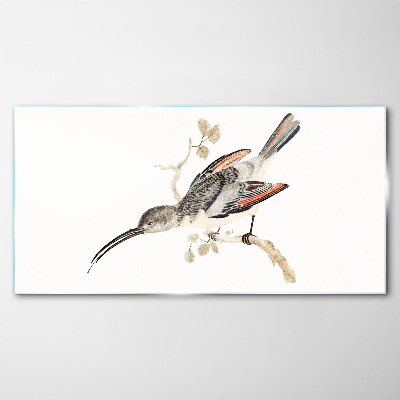 Tableau sur verre Un oiseau sur une branche