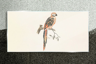 Tableau imprimé sur verre Un perroquet sur une branche