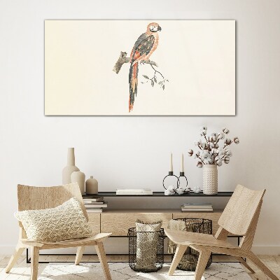 Tableau imprimé sur verre Un perroquet sur une branche