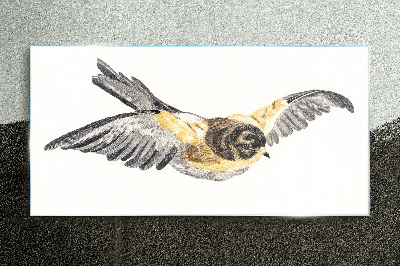 Tableau verre imprimé Canari doré en vol