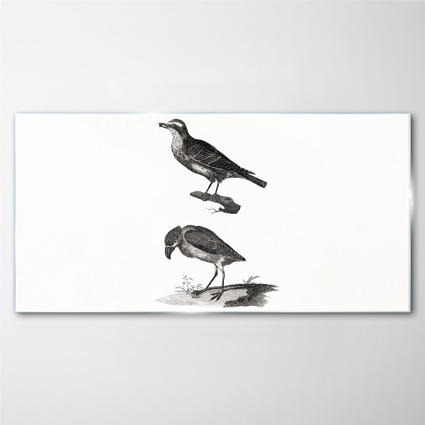 Tableau photo sur verre Oiseaux sur une branche
