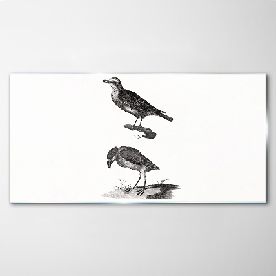 Tableau photo sur verre Oiseaux sur une branche