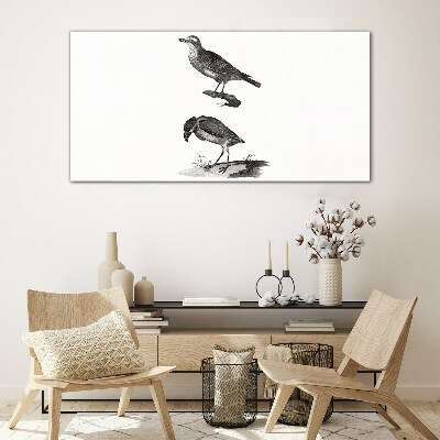 Tableau photo sur verre Oiseaux sur une branche