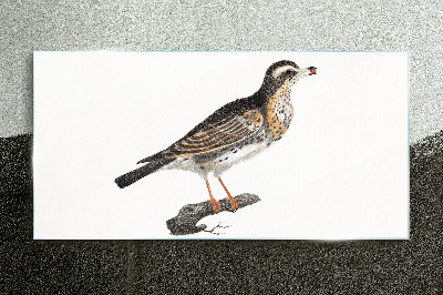 Tableau en verre Un oiseau sur une branche
