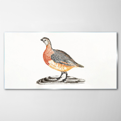 Tableau sur verre Un oiseau joyeux sur fond blanc