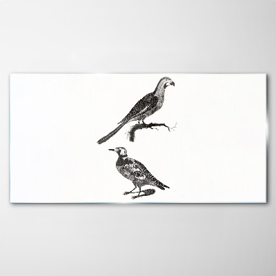 Tableau imprimé sur verre Oiseaux sur une branche
