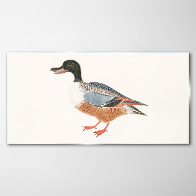 Tableau imprimé sur verre Un canard dans un manteau coloré