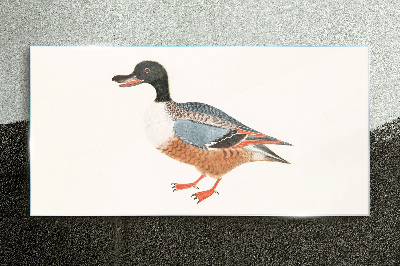 Tableau imprimé sur verre Un canard dans un manteau coloré