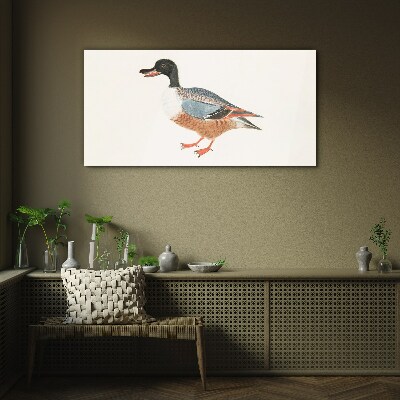 Tableau imprimé sur verre Un canard dans un manteau coloré
