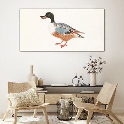 Tableau imprimé sur verre Un canard dans un manteau coloré