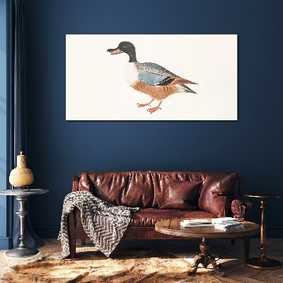 Tableau imprimé sur verre Un canard dans un manteau coloré