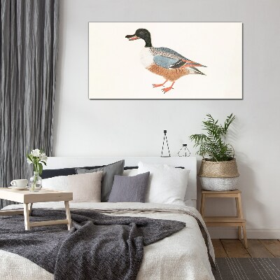 Tableau imprimé sur verre Un canard dans un manteau coloré